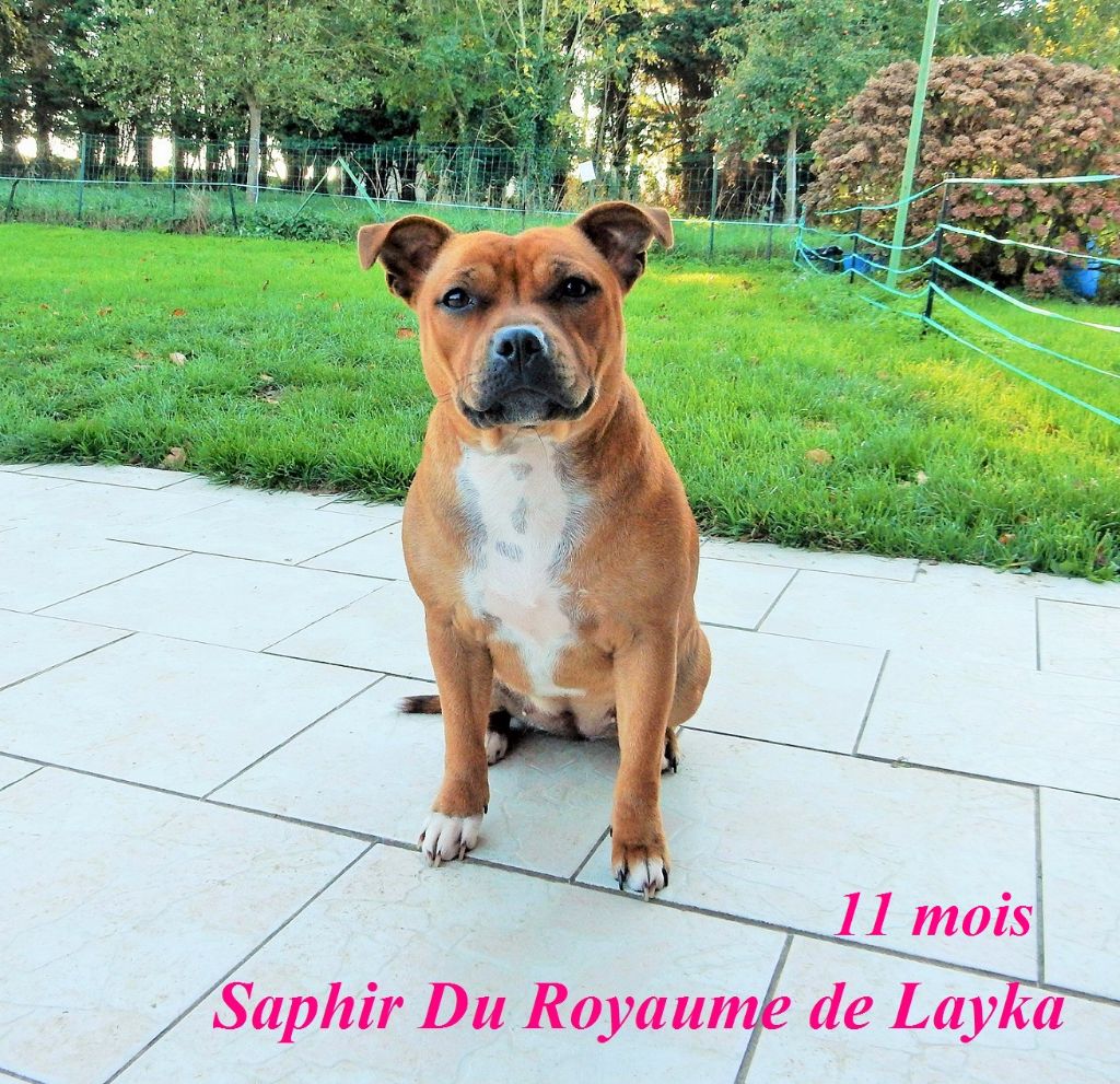 Saphir Du Royaume De Layka