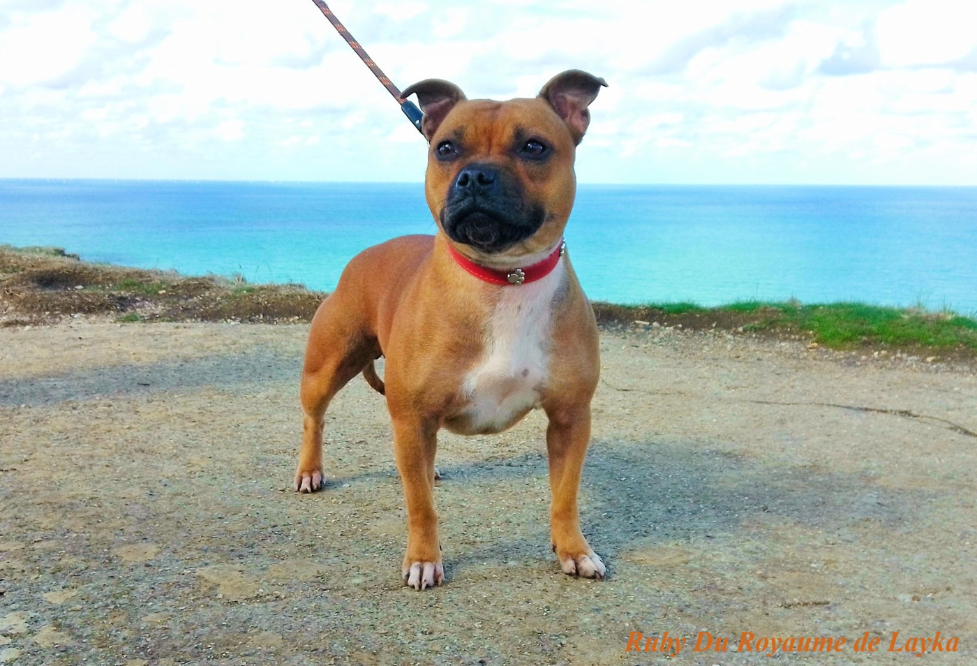 Ruby Du Royaume De Layka