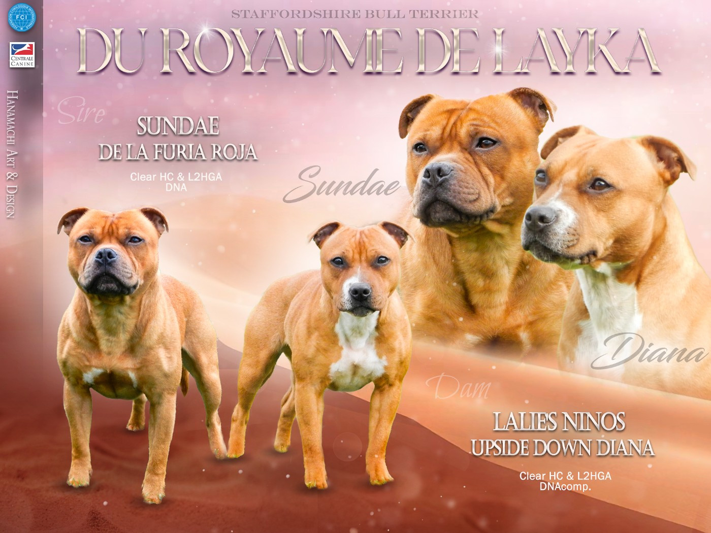 Gestation confirmée